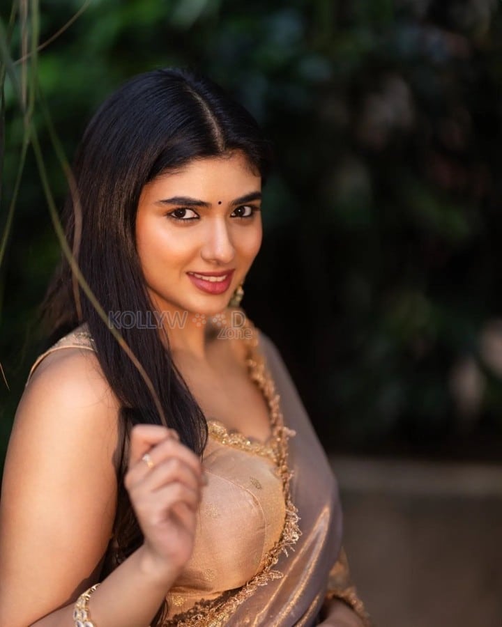Beautiful Pragya Nagra in a Silk Saree Pictures 05