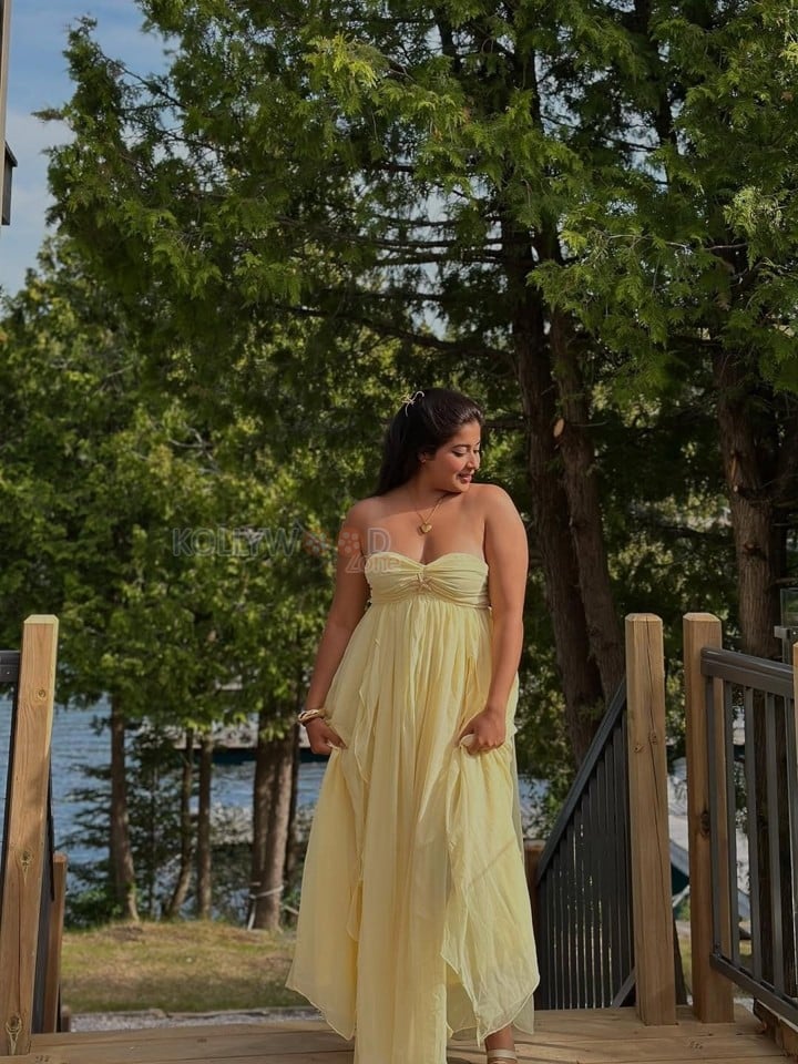 Chubby Beauty Nikita Sharma in a Pistachio Green Bodice Maxi Dress Photos 01