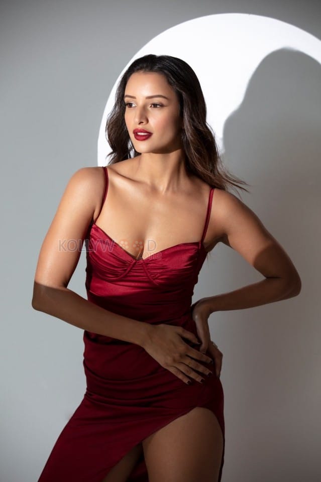 Sizzling Tripti Dimri in a Thigh High Slit Red Dress Pictures 01