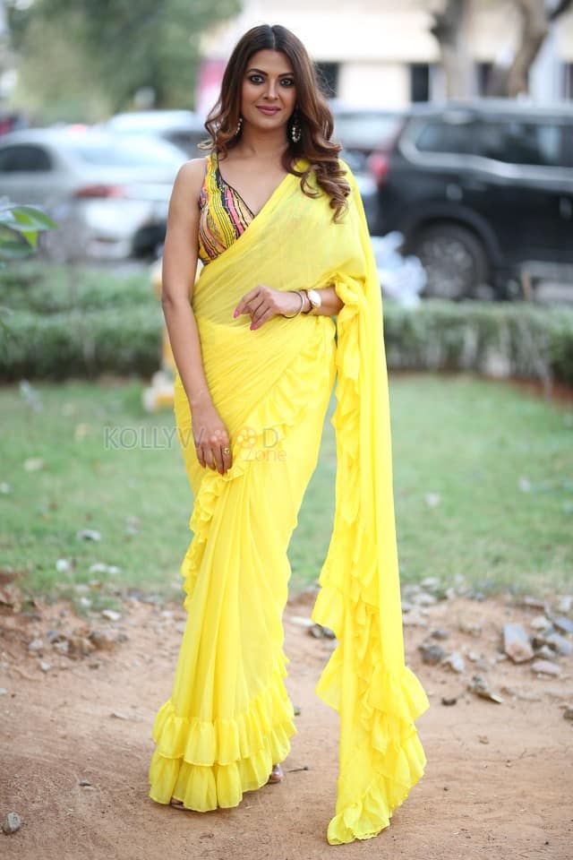 Actress Kashishh Rajput in a Yellow Saree with a Sleeveless Blouse Photos 17