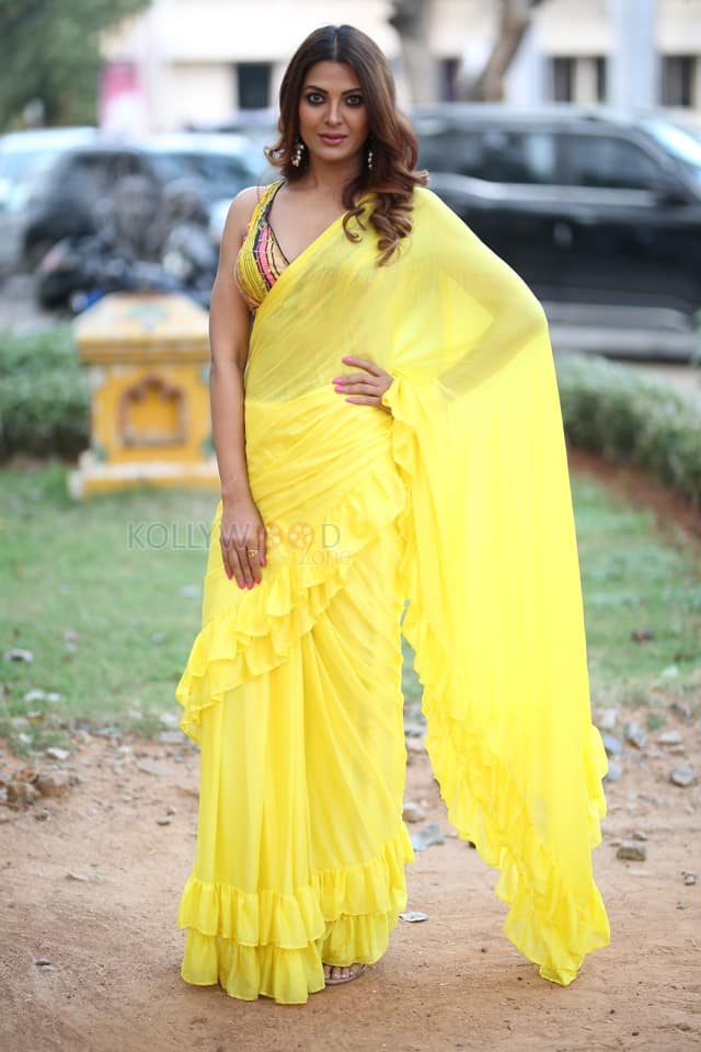 Actress Kashishh Rajput in a Yellow Saree with a Sleeveless Blouse Photos 23