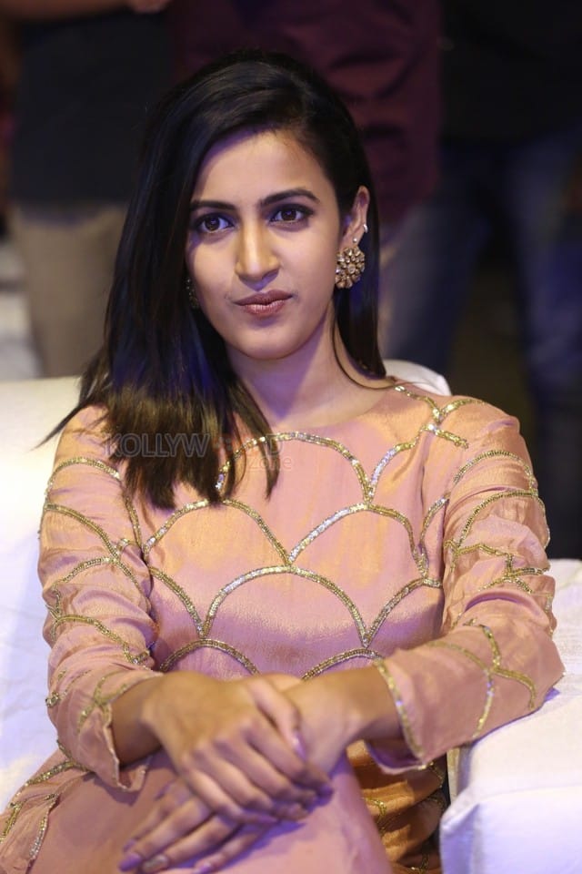 Actress Niharika Konidela Photos At Suryakantham Pre release Event 16