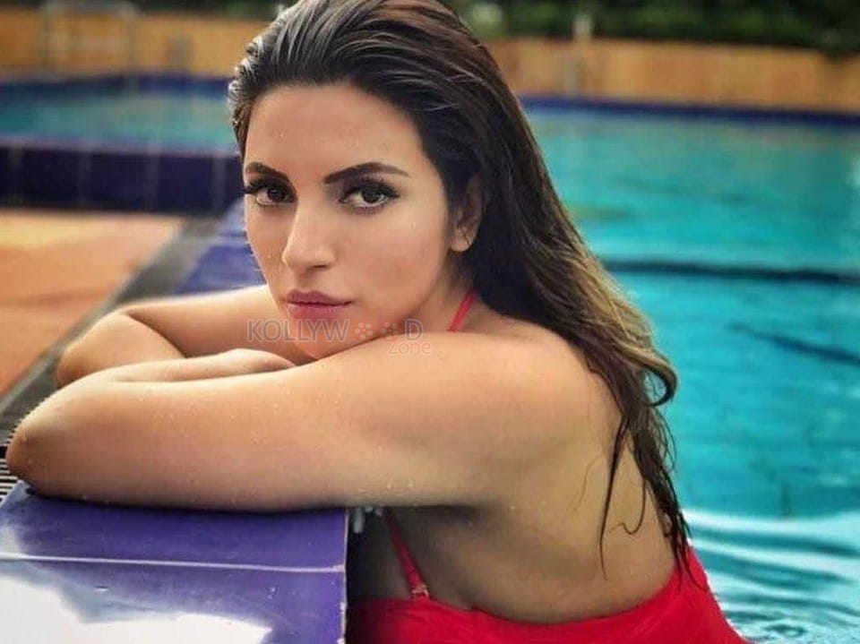 Actress Shama Sikander Hot Bikini Pictures 04