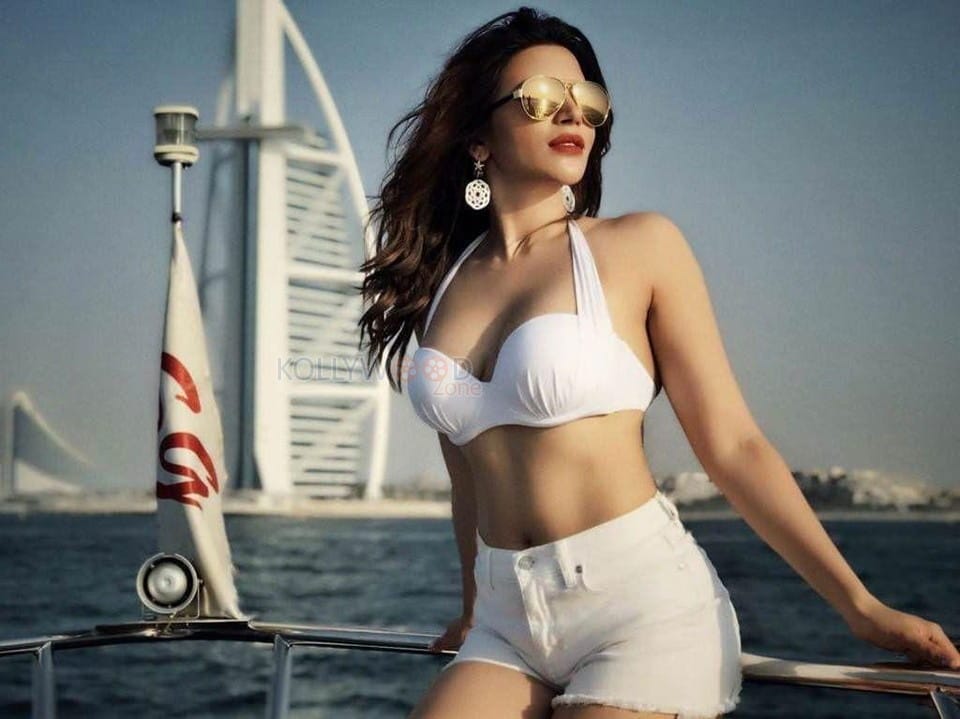 Actress Shama Sikander Hot Bikini Pictures 05