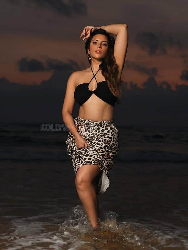 Sizzling Hot Shama Sikandar in a Black Halter Neck Bikini Top and Leopard Printed Skirt Photos 01