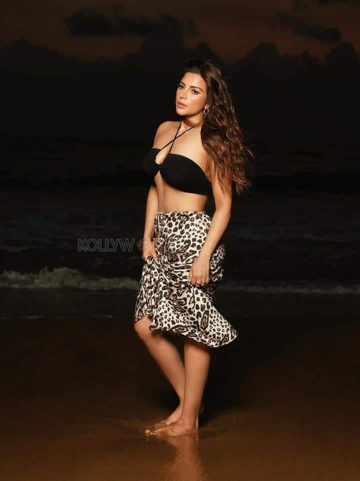 Sizzling Hot Shama Sikandar in a Black Halter Neck Bikini Top and Leopard Printed Skirt Photos 02