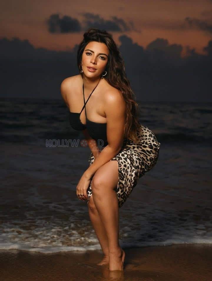 Sizzling Hot Shama Sikandar in a Black Halter Neck Bikini Top and Leopard Printed Skirt Photos 03