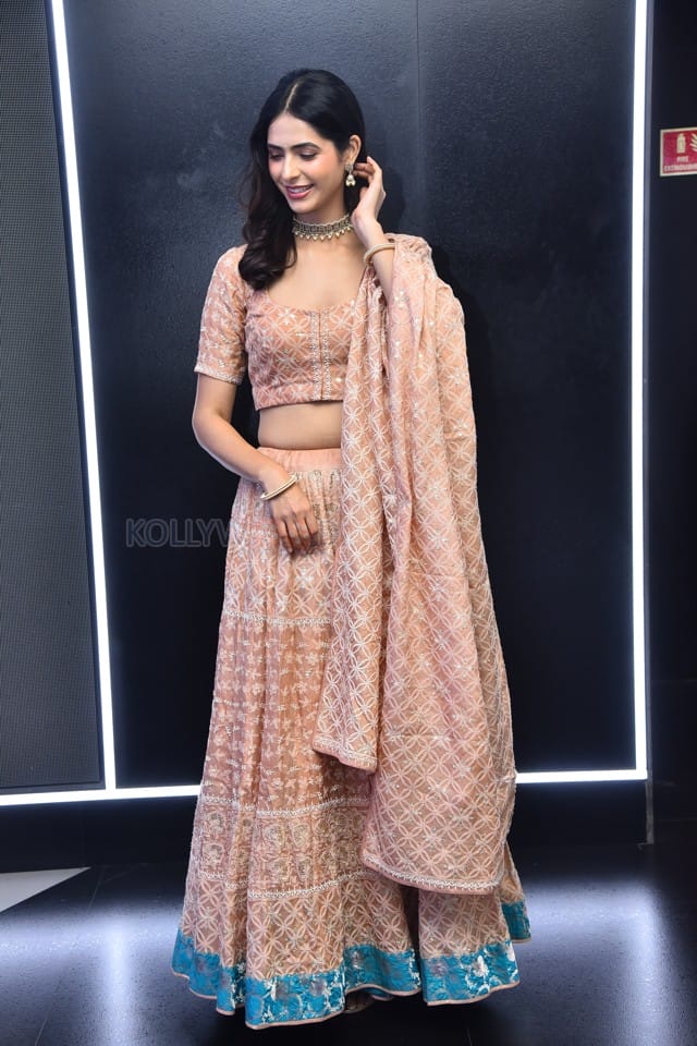 Actress Pankhuri Gidwani at Love Mouli Movie Trailer Launch Photos 23