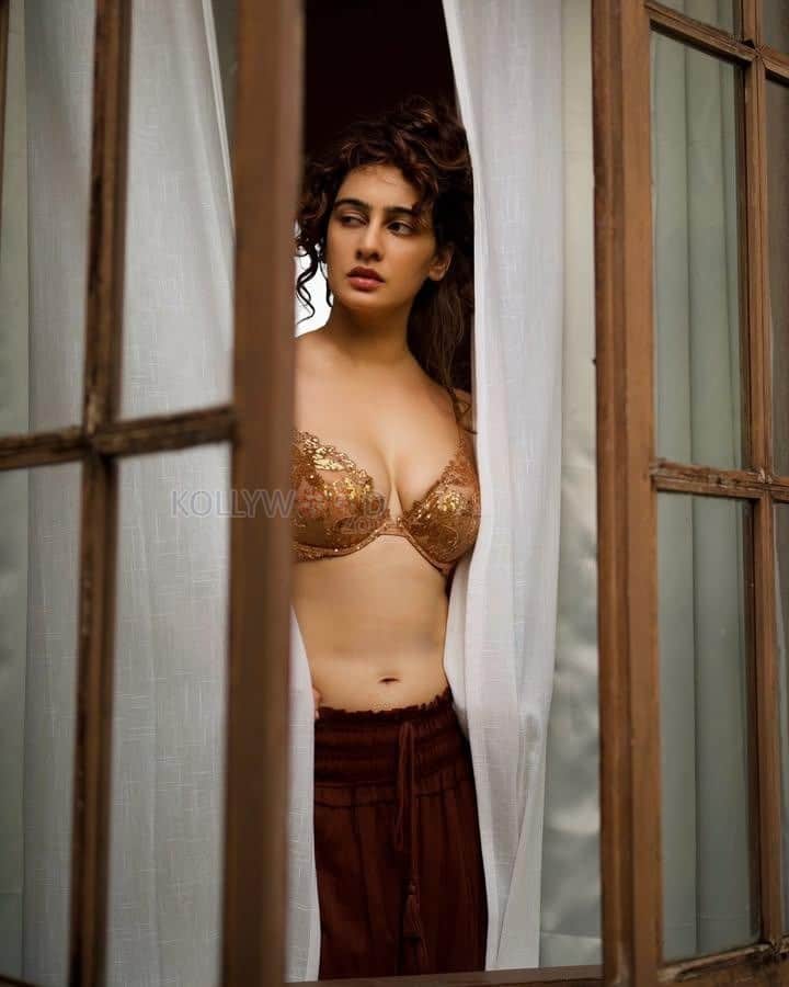 Desirable Megha Shukla Navel in a Brown Bralette and Skirt Photos 02