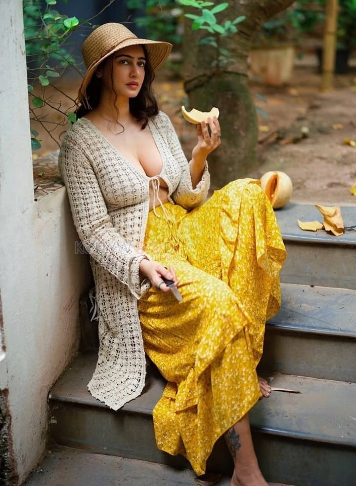 Erotic Beauty Megha Shukla Topless in a Crochet Top with a Flowy Yellow Skirt Photos 02