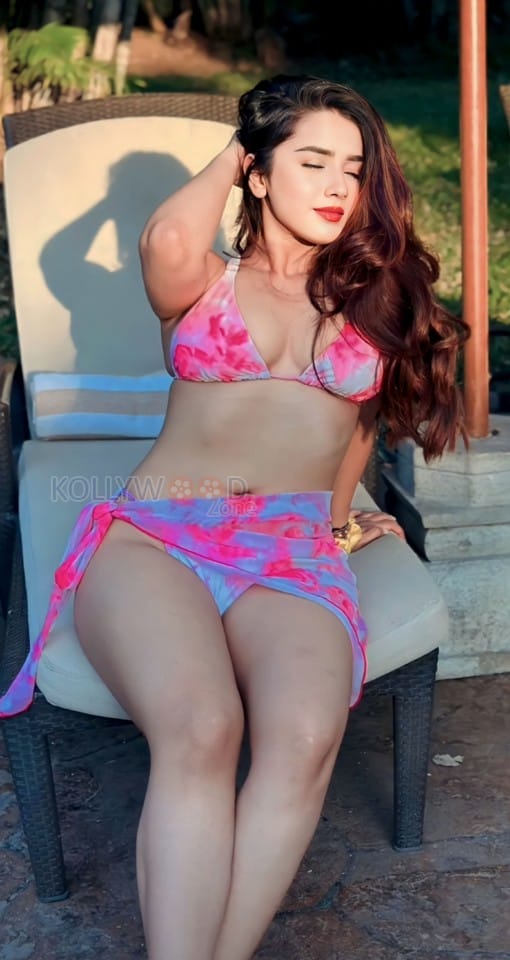 Indian Television Actress Roshni Walia Hot Bikini Photos 05