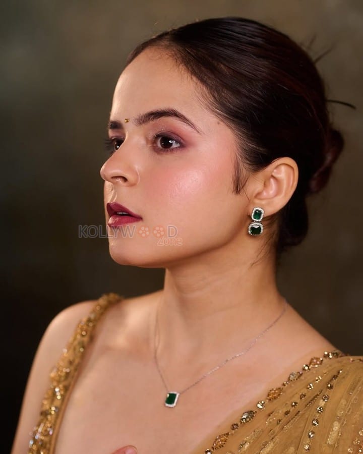 Beautiful Palak Sindhwani in a Beige Designer Saree with Sleeveless Blouse Pictures 02
