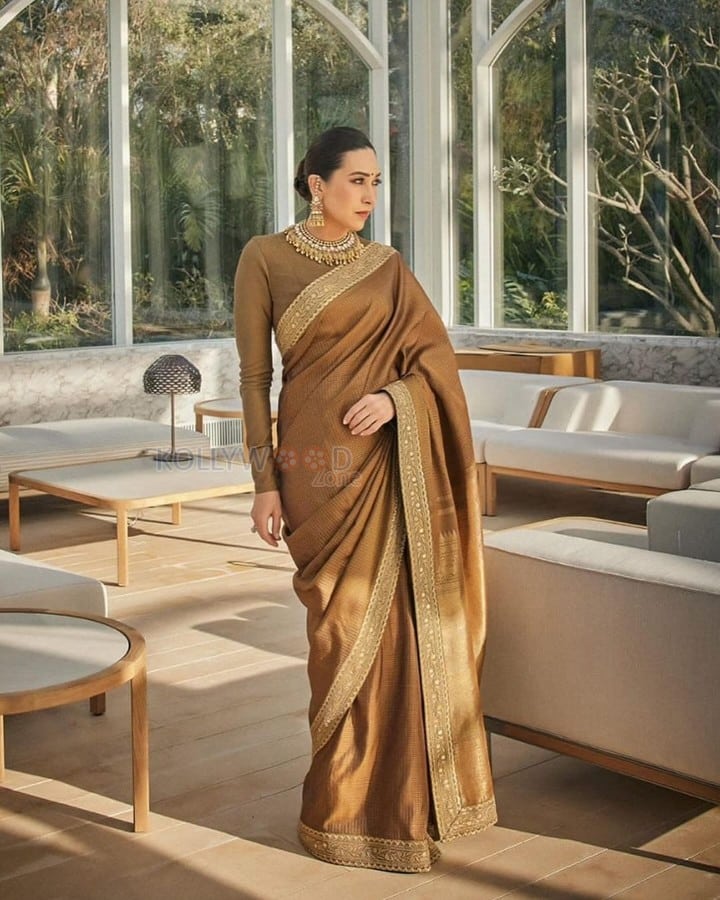 Elegant Karisma Kapoor in a Brown Saree Photos 04
