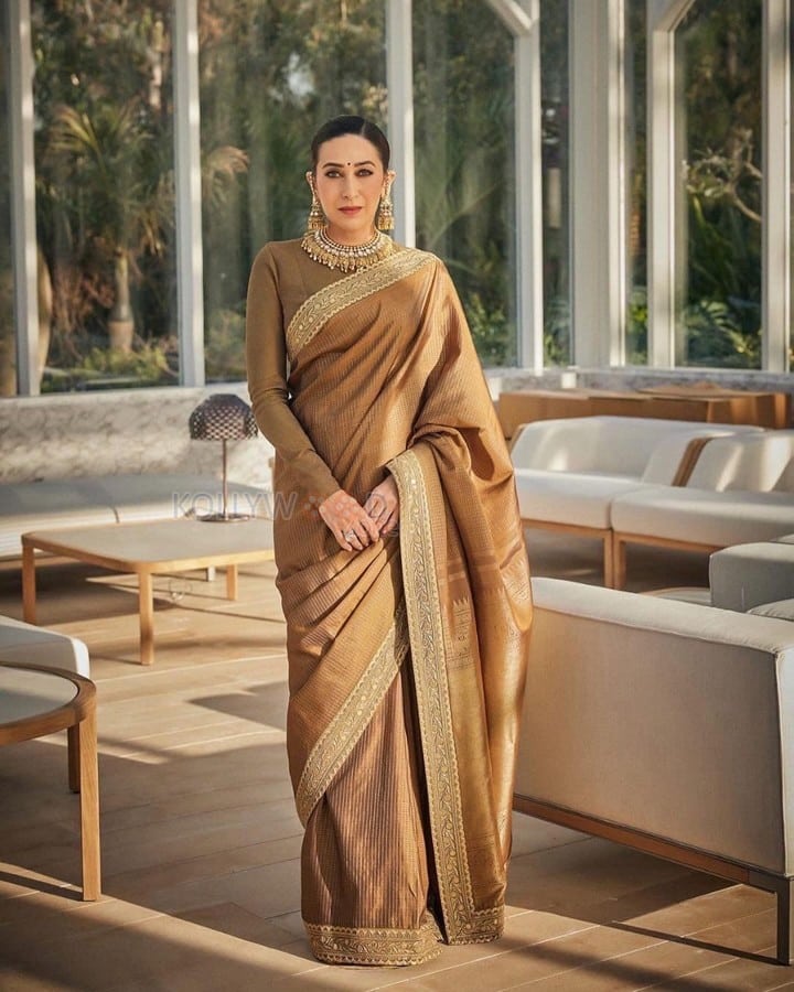 Elegant Karisma Kapoor in a Brown Saree Photos 05