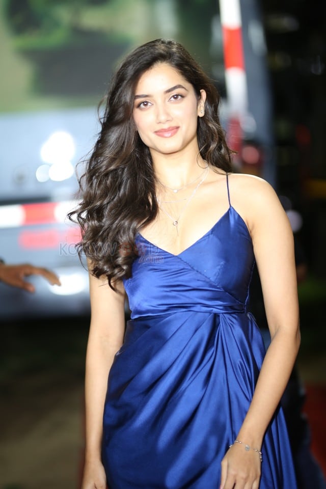Heroine Bhagyashri Borse at Kingdom Movie Pre Release Event Photos 28