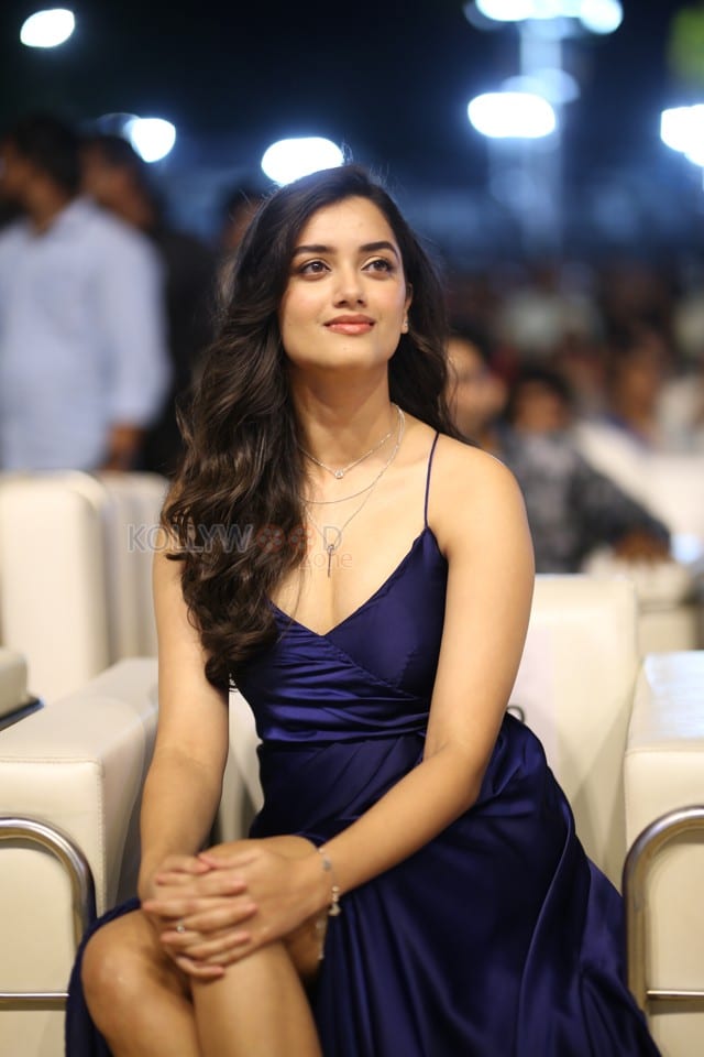 Heroine Bhagyashri Borse at Kingdom Movie Pre Release Event Photos 36