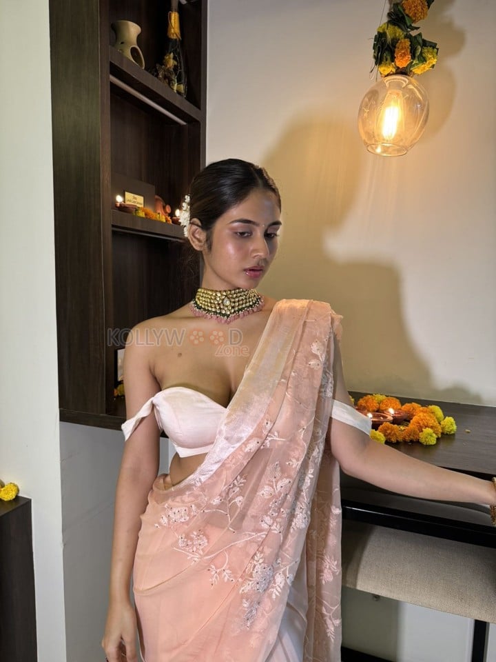 Kannada Beauty Srushti Bannatti Hot Cleavage in Saree Photos 02