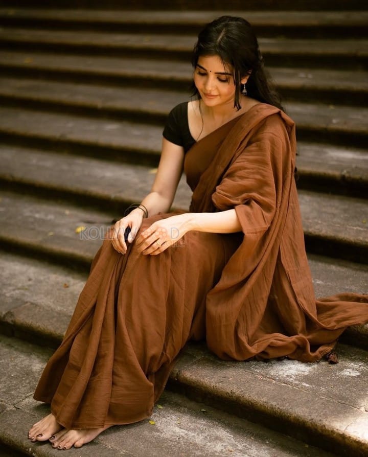 Sexy Madhuri Jain in a Coffee Chanderi Cotton Saree with Black Blouse Photos 02