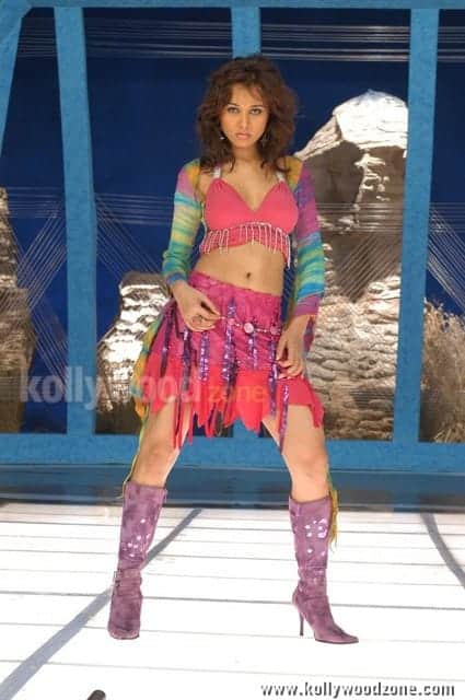 Actress Nisha Kothari Sexy Photos 19