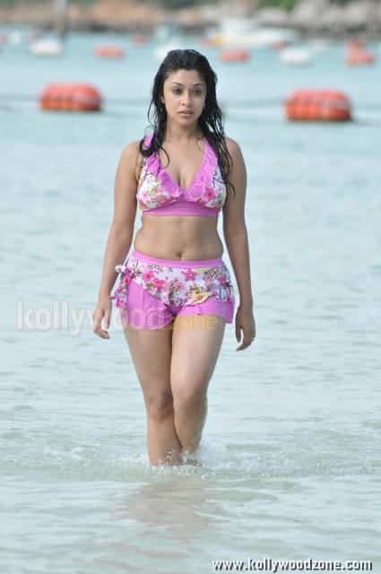 Harika Payal Ghosh Hot Pictures 15