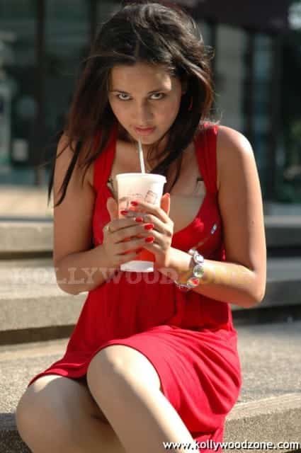 Hot Nisha Kothari Pictures 09