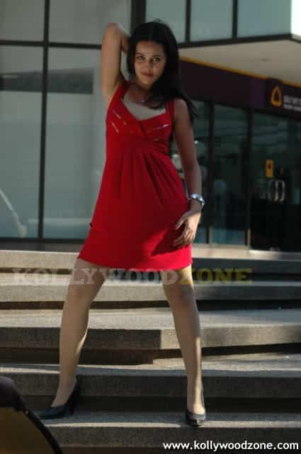 Hot Nisha Kothari Pictures 12
