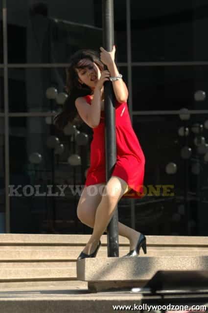 Hot Nisha Kothari Pictures 17
