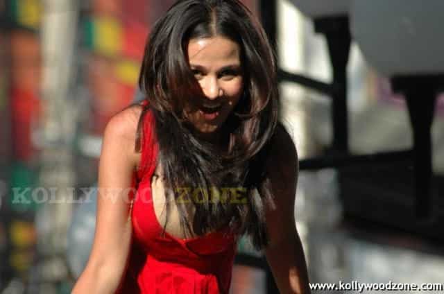 Hot Nisha Kothari Pictures 22