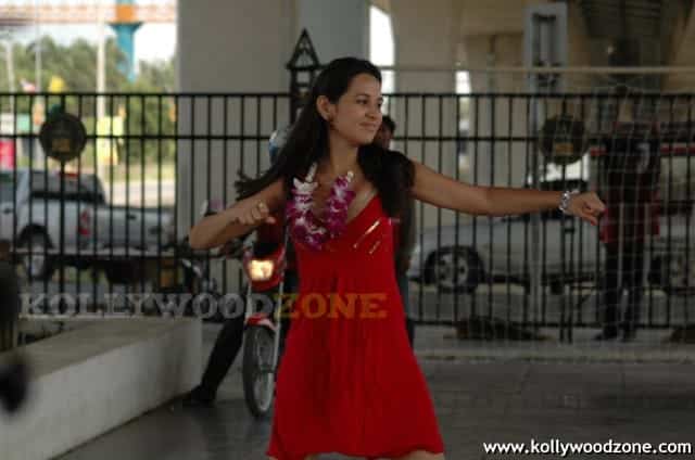 Hot Nisha Kothari Pictures 33