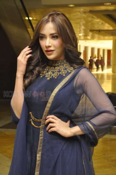 Indian Polish Actress Angela Krislinzki Photos 01