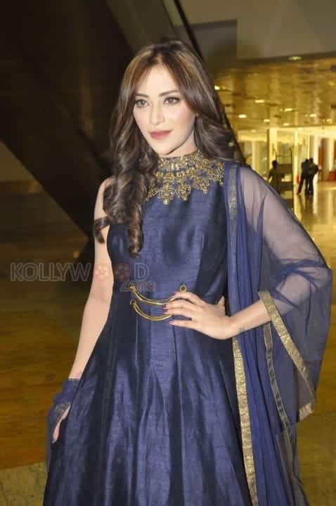 Indian Polish Actress Angela Krislinzki Photos 06