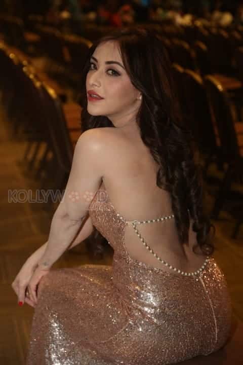 Indian Polish Actress Angela Krislinzki Sexy Photos 06