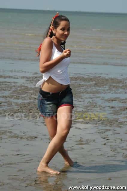 Nisha Kothari Hot Pics 018