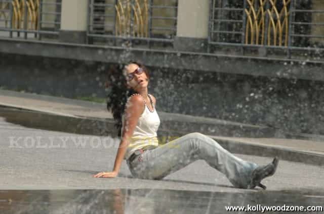 Nisha Kothari Hot Pics 108
