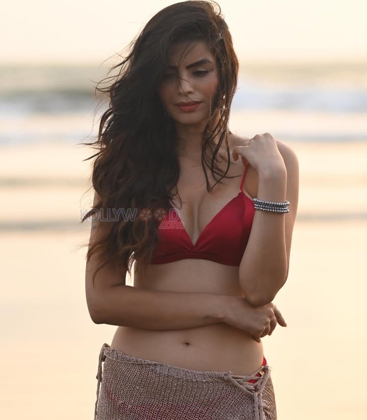 Sensual Sonali Raut in a Bold Two Piece Bikini Photos 01