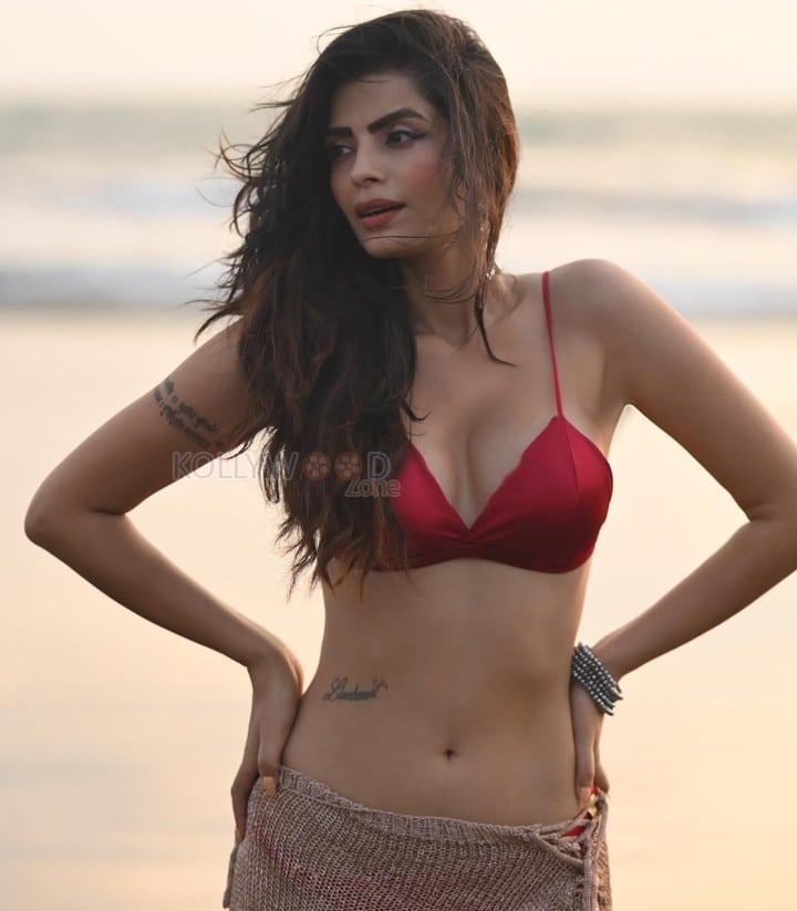 Sensual Sonali Raut in a Bold Two Piece Bikini Photos 03