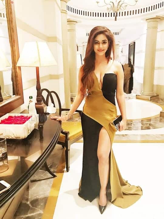 Actress Meera Chopra Sexy New Photoshoot Stills 04