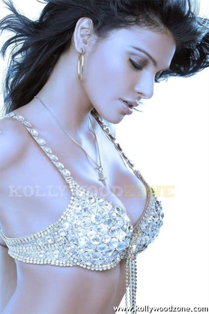 Sexy Sherlyn Chopra Stills 06