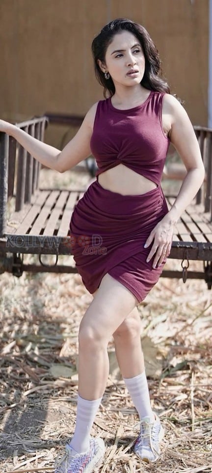 Extra Ordinary Man Actress Priyanka Kholgade in a Maroon Cut Out Bodycon Dress Photos 03