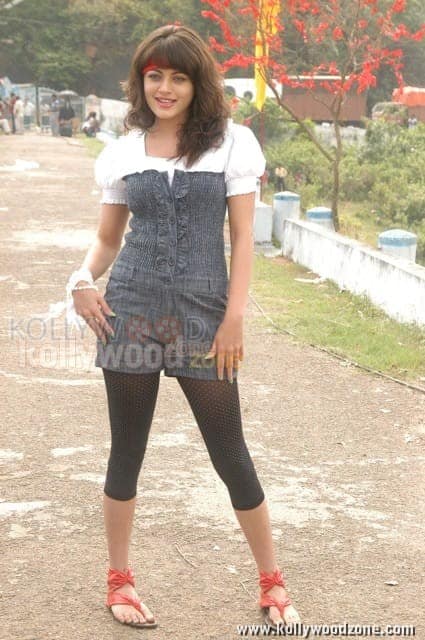 Sexy Sneha Ullal Pictures 02