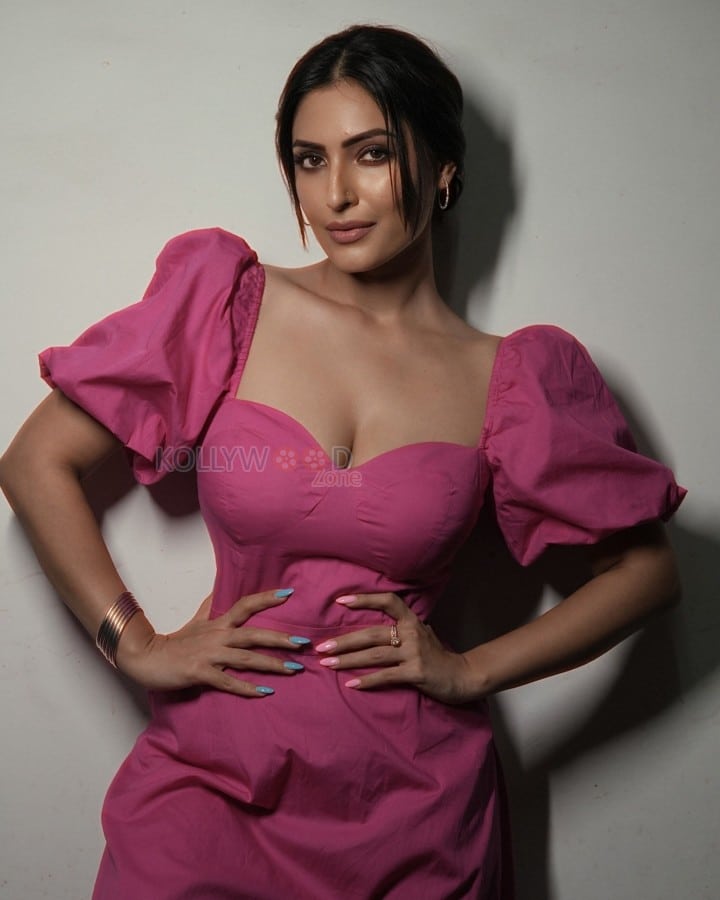 Hamari Sister Didi Actress Shivangi Verma in a Pink Dress Pictures 02