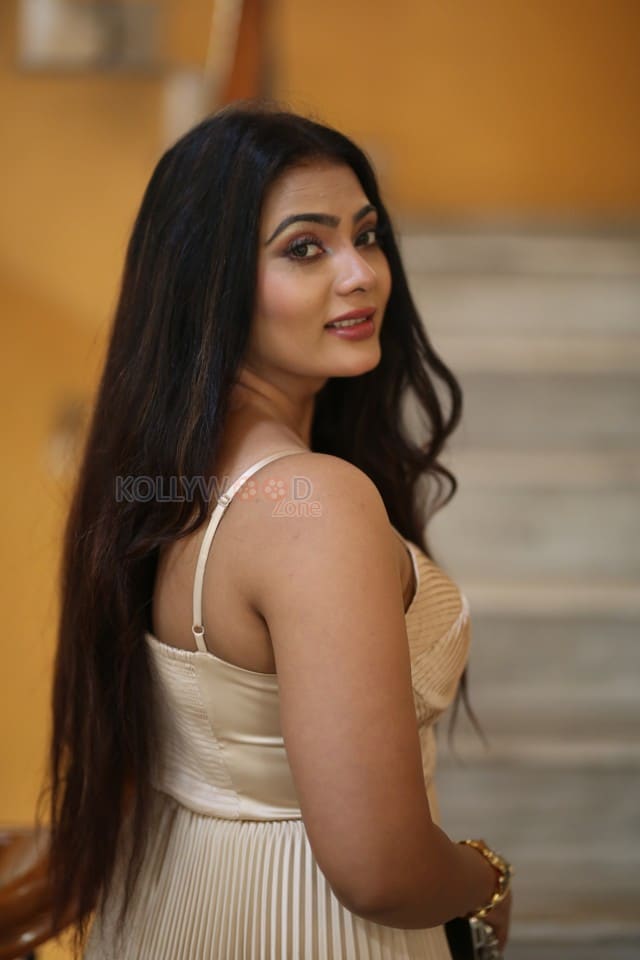 Heroine Anupama Prakash at Mr Reddy Pre Release Event Photos 02