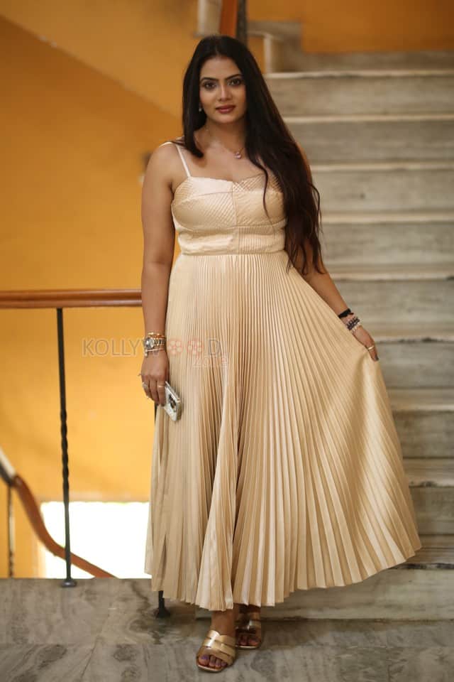 Heroine Anupama Prakash at Mr Reddy Pre Release Event Photos 11