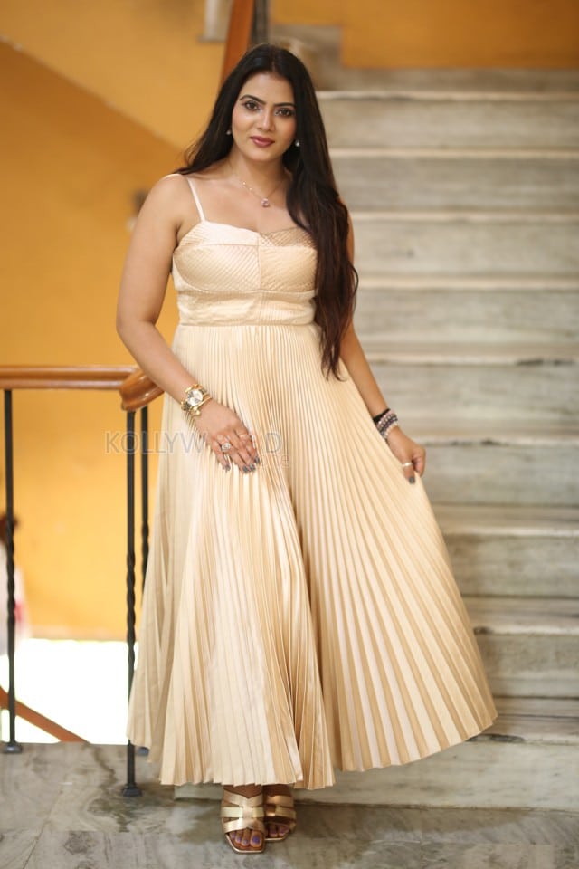 Heroine Anupama Prakash at Mr Reddy Pre Release Event Photos 16