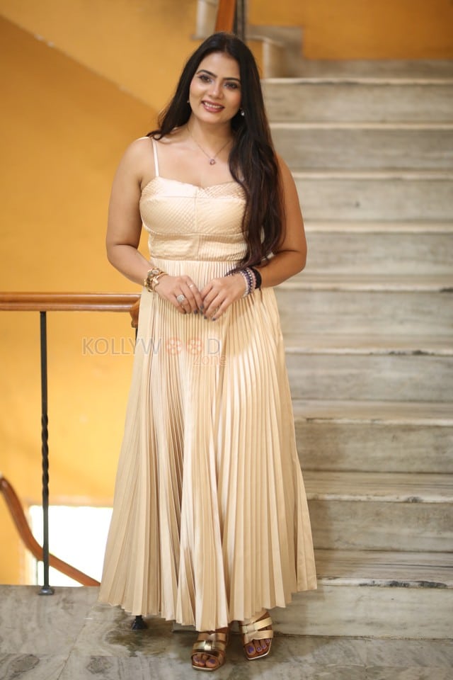 Heroine Anupama Prakash at Mr Reddy Pre Release Event Photos 18