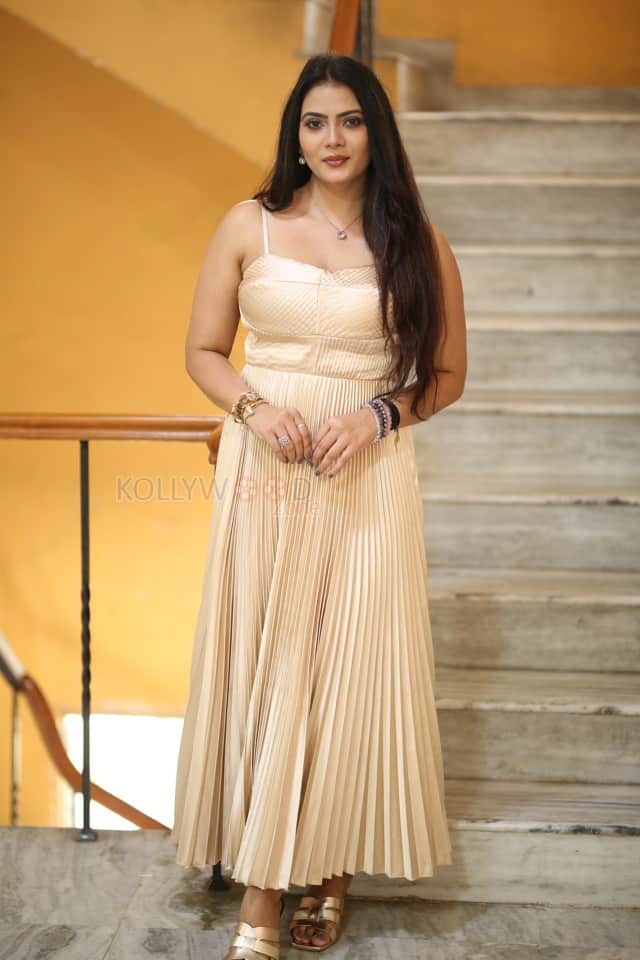 Heroine Anupama Prakash at Mr Reddy Pre Release Event Photos 19