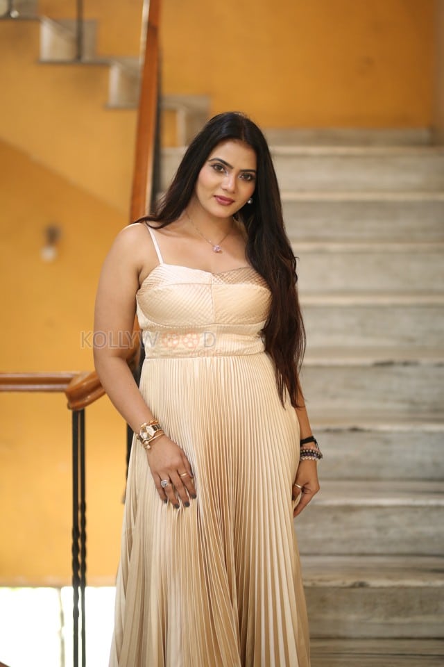 Heroine Anupama Prakash at Mr Reddy Pre Release Event Photos 22