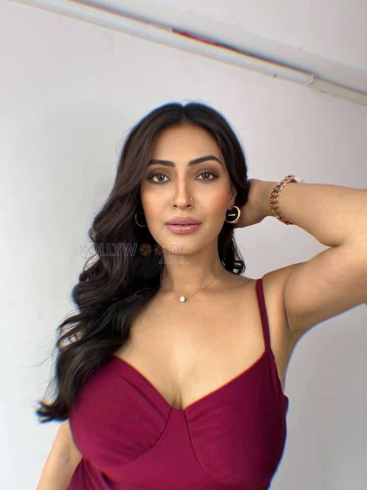 Sexy Shivangi Verma in a Deep Neck Maroon Sleeveless Bodycon Dress Photos 01