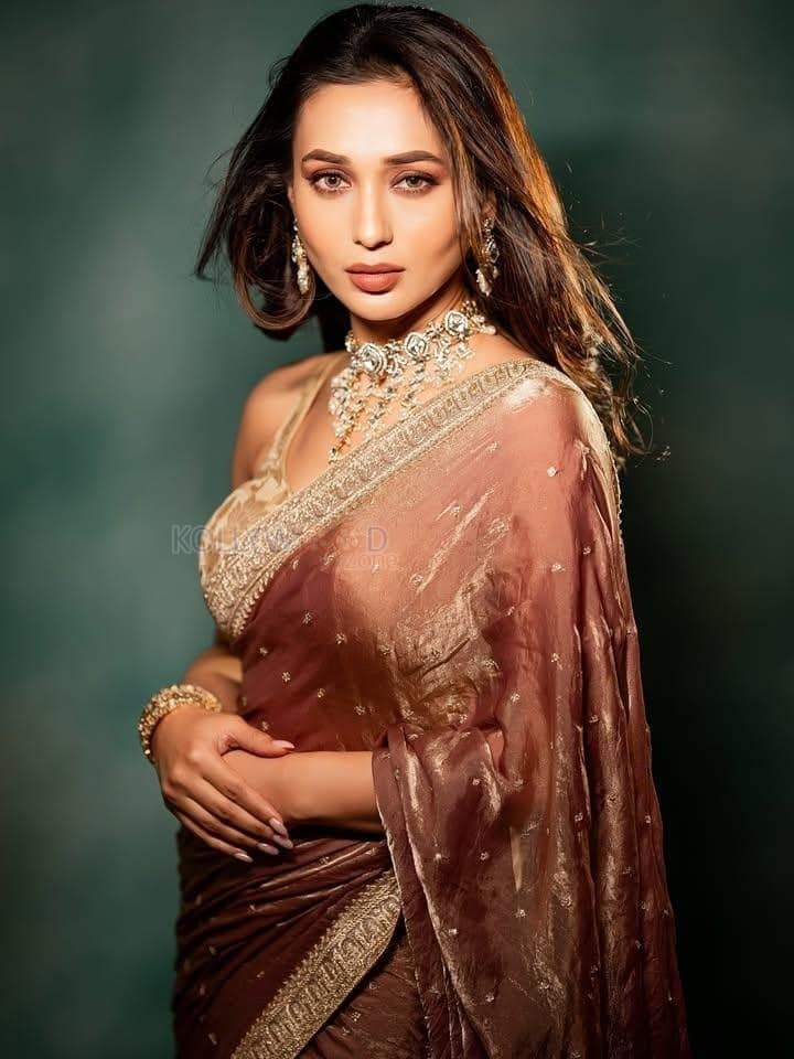 Bengali Actress Mimi Chakraborty in a Rust Coloured Saree with a Sleeveless Embroidered Blouse Photos 01