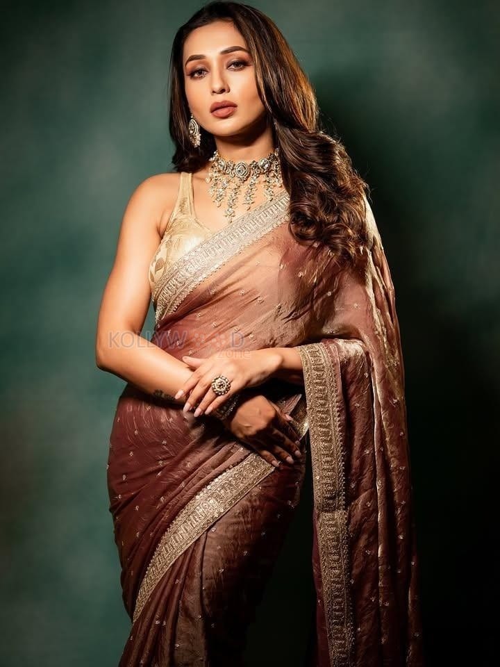 Bengali Actress Mimi Chakraborty in a Rust Coloured Saree with a Sleeveless Embroidered Blouse Photos 02
